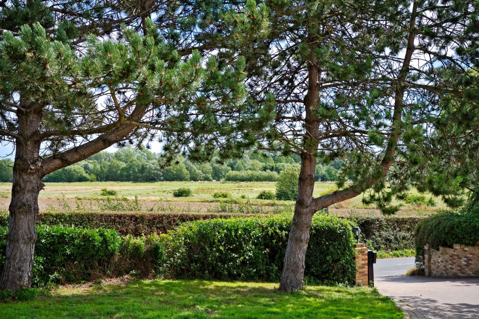 Owlet Lodge Chislet Dış mekan fotoğraf