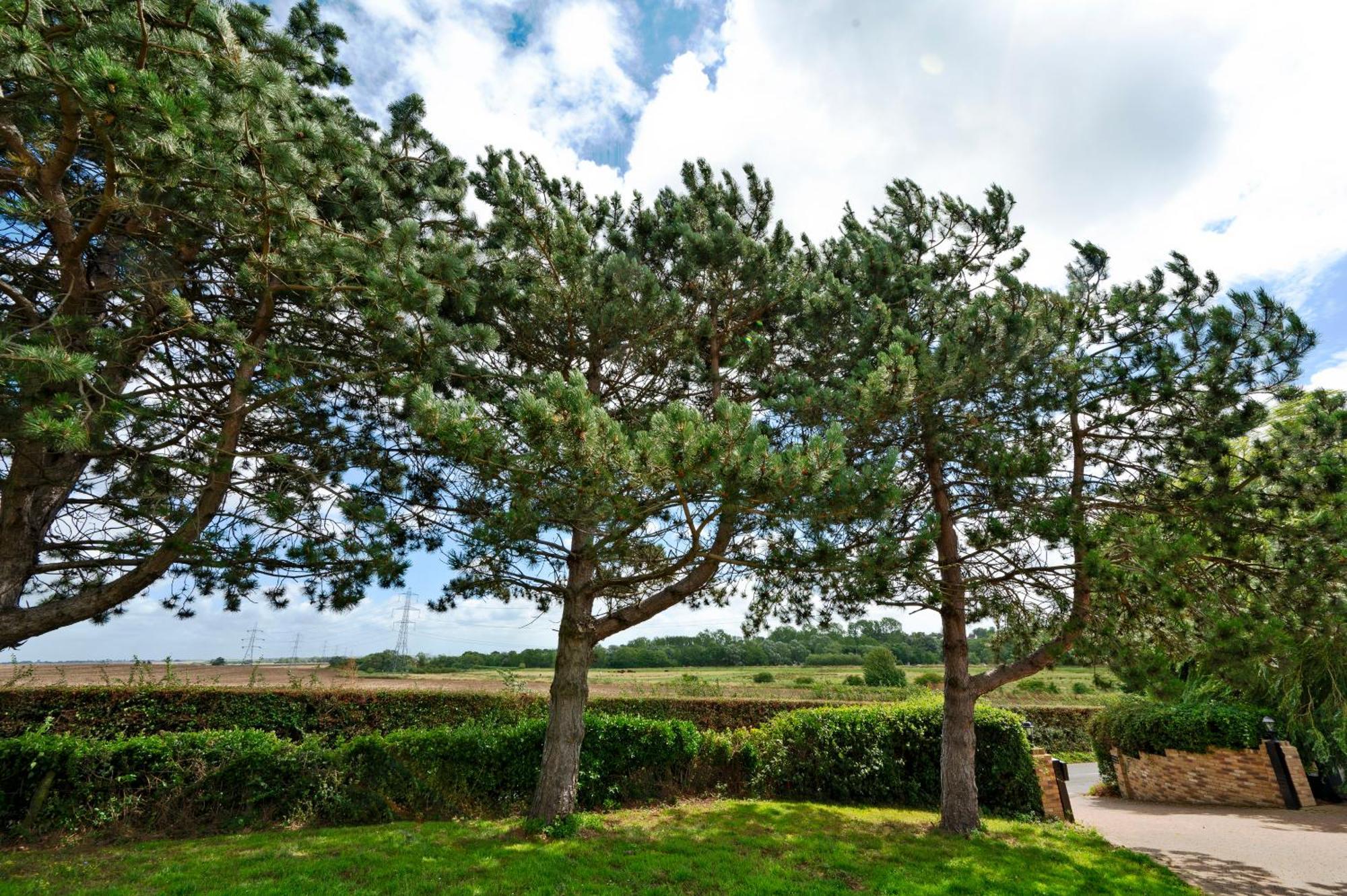 Owlet Lodge Chislet Dış mekan fotoğraf